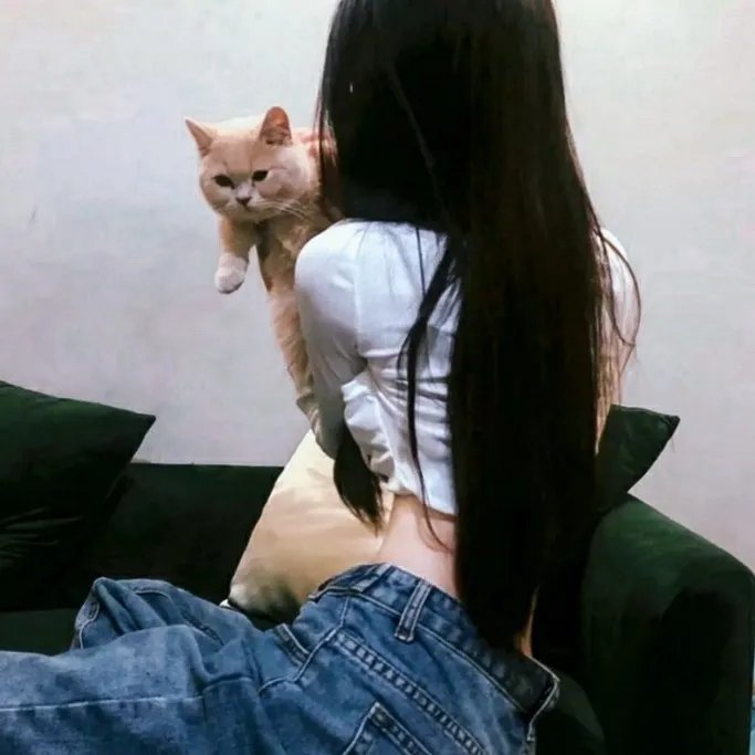 谋杀学教授